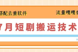 热门项目7月最新短剧搬运技术，搭配去重软件操作便宜07月05日冒泡网VIP项目