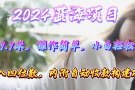 2024热门给力项目项目，年轻群体的蓝海市场，1单9.9元，操作简单，小白轻松上手，日入四位数