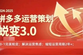 2024最新2024-2025拼多多运营策略蜕变3.0，0~1完美蜕变，解决信息焦虑便宜07月17日冒泡网VIP项目