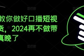 热门项目2024教你做好口播短视频带货，2024再不做带货就真晚了便宜07月12日冒泡网VIP项目