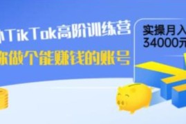 海外TikTok高阶训练营：教你做个能赚钱的账号，实操月入34000元!