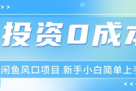 创业项目（11614期）最新风口项目闲鱼空调3.0玩法，月入过万，真正的0成本0投资项目便宜07月15日中创网VIP项目