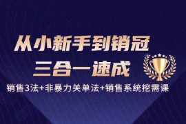 实战营销-成交项目，从小新手到销冠 三合一速成：销售3法+非暴力关单法+销售系统挖需课 (27节)