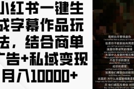 赚钱项目小红书一键生成字幕作品玩法，结合商单广告+私域变现月入1w+【揭秘】便宜07月18日冒泡网VIP项目