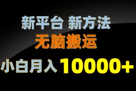 赚钱短视频运营项目，新平台新方法，无脑搬运，月赚10000+，小白轻松上手不动脑