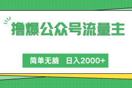 赚钱公众号项目，撸爆公众号流量主，简单无脑，单日变现2000+