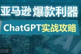 实战亚马逊爆款利器：ChatGPT实战攻略，以最低的成本和最高的效率打造日出百单的爆品11-09冒泡网