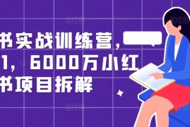 每天小红书实战训练营，从0到1，6000万小红书项目拆解10-12冒泡网