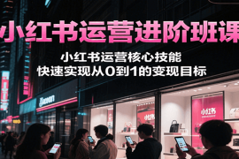 小红书运营进阶班课，小红书运营核心技能，快速实现从0到1的变现目标