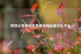 网贷记录查询免费查询网站是什么平台