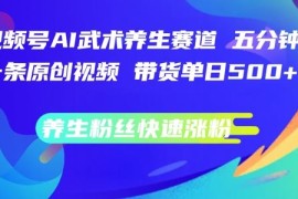 简单项目视频号AI武术养生赛道，五分钟一条原创视频，带货单日几张，养生粉丝快速涨粉【揭秘】08-24冒泡网