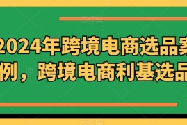 热门项目2024年跨境电商选品案例，跨境电商利基选品（更新）便宜08月19日冒泡网VIP项目