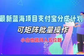 2024最新（12515期）最新蓝海项目支付宝分成计划，可矩阵批量操作，小白也能月入五位数09-08中创网