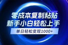 最新项目（12121期）0成本复制粘贴，小白轻松上手，无脑日入1000+，可批量放大08-13中创网