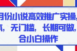 五月份小说高效推广实操，0成本，无门槛，长期可做，适合小白操作