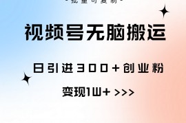 热门短视频运营项目，视频号无脑搬运日引300+创业粉，变现1W+可批量复制