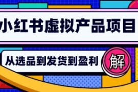 小红书虚拟产品店铺运营指南，从选品到自动发货联盟抖音号运营