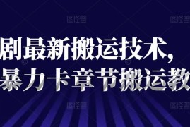 热门项目短剧最新搬运技术，抖音暴力卡章节搬运教程便宜07月29日冒泡网VIP项目