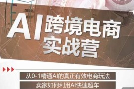 ChatGPT AI跨境电商实战营，从0-1精通AI的真正有效电商玩法与抖音号运营