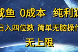 最新无货源项目，咸鱼0成本，纯利润，日入四位数，简单无脑操作