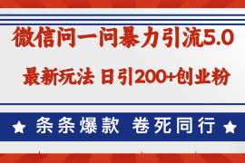 实战（12240期）微信问一问最新引流5.0，日稳定引流200+创业粉，加爆微信，卷死同行08-20中创网