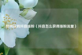 如何玩转抖音涨粉（抖音怎么获得涨粉流量）