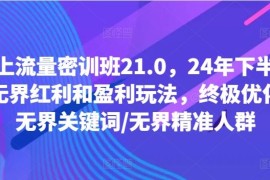 实战线上流量密训班21.0，24年下半年-无界红利和盈利玩法，终极优化/无界关键词/无界精准人群08-17冒泡网