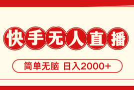 2024最新（11491期）快手美女跳舞，简单无脑，轻轻松松日入2000+便宜07月07日中创网VIP项目