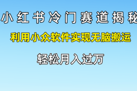 赚钱项目小红书冷门赛道揭秘,利用小众软件实现无脑搬运，轻松月入过万便宜07月20日福缘网VIP项目