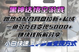 简单项目（12271期）黑神话悟空游戏蹭热点配合网盘拉新+私域，一鱼多吃日变现5000+赚快钱拆&#8230;08-22中创网