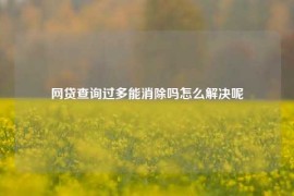 网贷查询过多能消除吗怎么解决呢