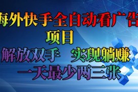 创业项目（12185期）海外快手全自动看广告项目解放双手实现躺赚一天最少两三张08-17中创网