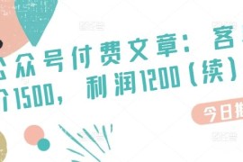 每日某公众号付费文章：客单价1500，利润1200(续)，市场几乎可以说是空白的，06月30日冒泡网VIP项目