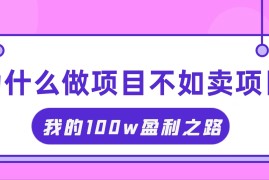 2024最新（11893期）抓住互联网创业红利期，我通过卖项目轻松赚取100W+便宜08月01日中创网VIP项目