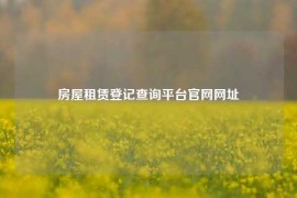 房屋租赁登记查询平台官网网址