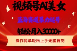 赚钱项目（12178期）视频号AI美女跳舞，轻松月入30000+，蓝海赛道，流量池巨大，起号猛，当…08-16中创网