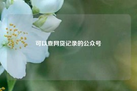 可以查网贷记录的公众号