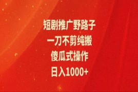 赚钱项目（11642期）暑假风口项目，短剧推广全新玩法，一刀不剪纯搬运，轻松日入1000+便宜07月16日中创网VIP项目