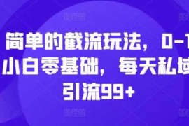 最新项目简单的截流玩法，0-1小白零基础，每天私域引流99+【揭秘】11-09冒泡网