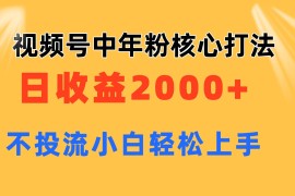 （11205期）视频号中年粉核心玩法 日收益2000+ 不投流小白轻松上手，06月23日中创网VIP项目