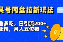 赚钱项目一鱼多吃，日引流200+创业粉，全平台工具号，网盘拉新新玩法月入5位数【揭秘】便宜07月29日冒泡网VIP项目