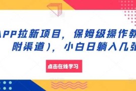 简单项目APP拉新项目，保姆级操作教程(附渠道)，小白日躺入几张【揭秘】11-07冒泡网