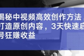 创业项目揭秘中视频高效创作方法，打造原创内容，3天快速启号狂赚收益【揭秘】08-24冒泡网