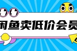 实战外面收费998的闲鱼低价充值会员搬砖玩法号称日入200+11-12冒泡网