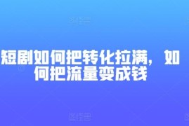 短剧如何把转化拉满，如何把流量变成钱，06月24日冒泡网VIP项目