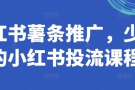 创业项目小红书薯条推广，少有的小红书投流课程08-24冒泡网