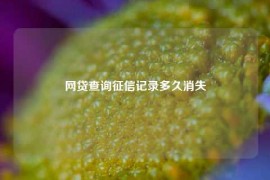 网贷查询征信记录多久消失