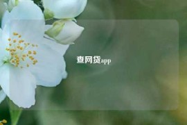 查网贷app