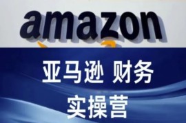 最新项目亚马逊财务核算实操营-亚马逊跨境电商教程便宜07月20日冒泡网VIP项目