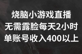 2024最新烧脑小游戏直播，无需露脸每天2小时，单账号日入400+【揭秘】便宜08月07日冒泡网VIP项目